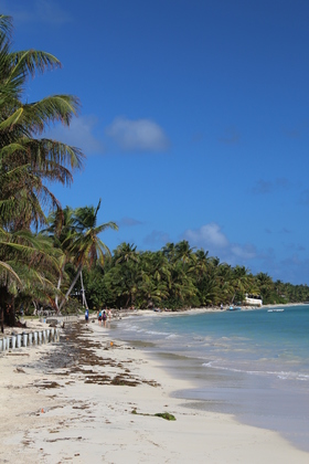 The beach at Carlito's