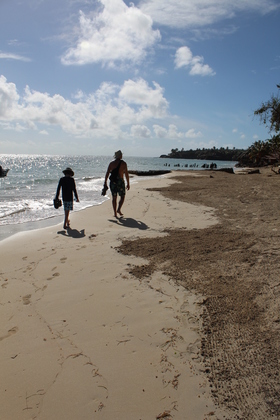 The beach at Carlito's Place